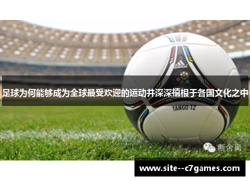 足球为何能够成为全球最受欢迎的运动并深深植根于各国文化之中 足球为何能够成为全球最受欢迎的运动并深深植根于各国文化之中